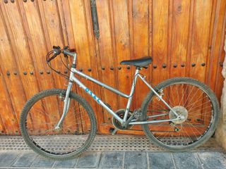 Bicicleta de montaña