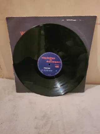 Vinilo Warp Brothers vs Aquagen Phatt Bass