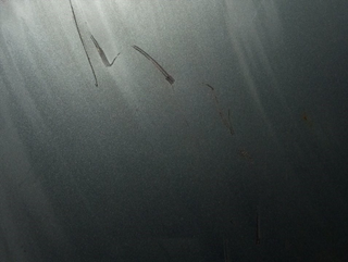 CAPO PEUGEOT 407 9HZ S / R