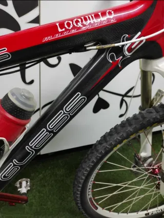 Bicicleta de Montaña Carbono