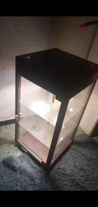 Vitrina madera y cristal