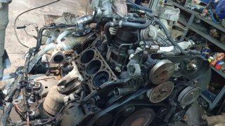 Se necesita electromecánico de automoviles