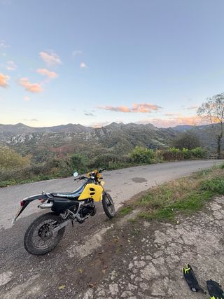 Suzuki RMX 2001 Enduro