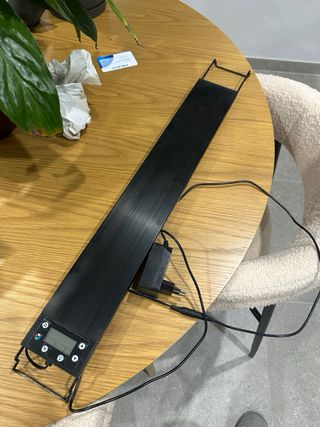 Acuario ~ 100L con soporte, filtro y accesorios