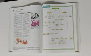 Biología, Geología y Ciencias Ambientales. 1 Ba...