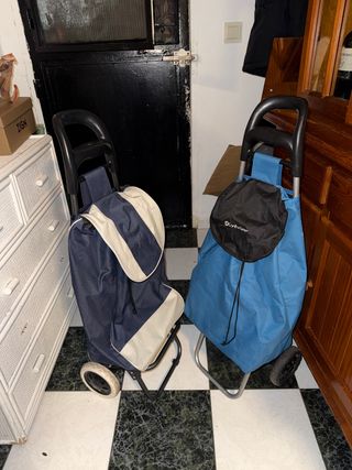 Carritos de la compra