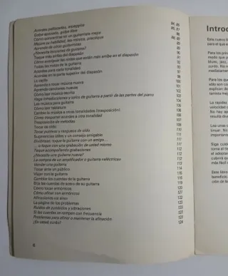 Libro Cómo Tocar la Guitarra - Roger Evans