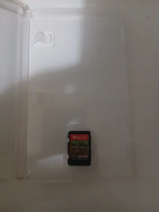 Minecraft Nintendo Switch