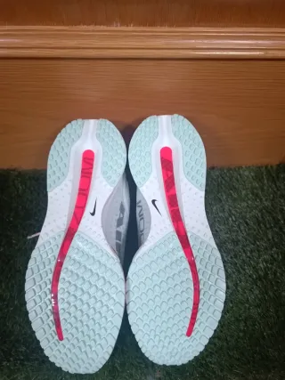 Nike Pegasus premium