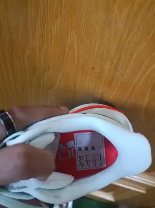 Nike Pegasus premium