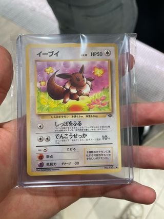 Eevee LV.12 HP50 1996 PRECIO NEGOCIABLE