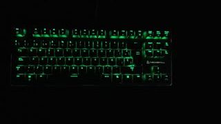 Teclado mecánico Newskill Serike TKL negro
