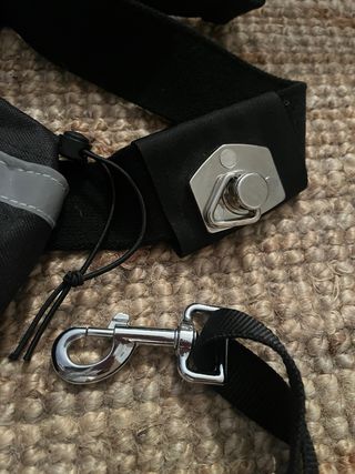 Cinturón ajustable con correa para perro