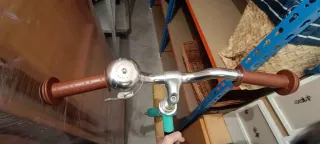 Bicicleta sin pedales Veloretti