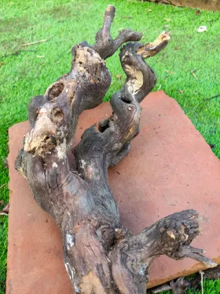 Tronco natural decorativo para terrario/acuario