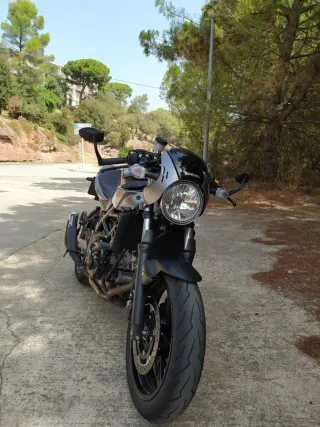 Suzuki SV 650X Café Racer