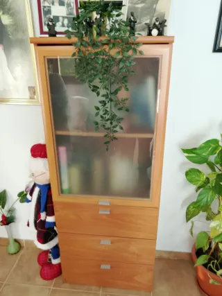 Mueble de madera con cristal