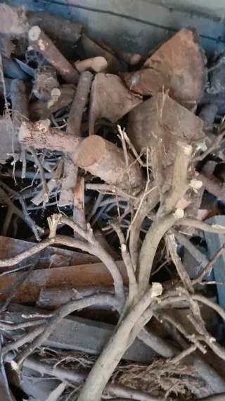 Leña para chimenea o barbacoa