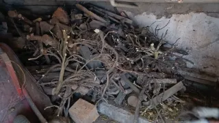 Leña para chimenea o barbacoa