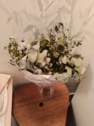 Ramo de eucalipto seco