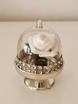 Cúpula decor flor eterna