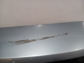 PORTON TRASERO FORD S-MAX (CA1) QXWB