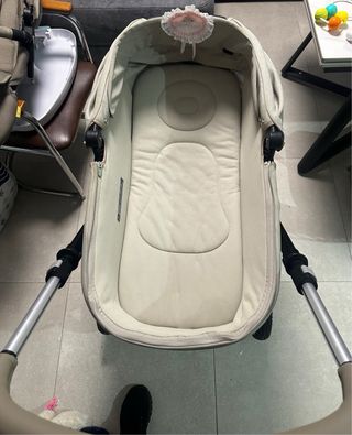 Carricoche JANE CROSSLIGHT 2025