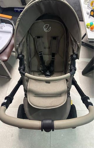 Carricoche JANE CROSSLIGHT 2025