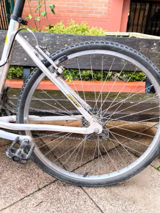 Bicicleta urbana Aluminio 26'