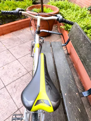 Bicicleta urbana Aluminio 26'