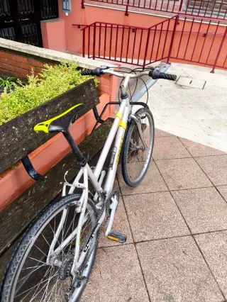 Bicicleta urbana Aluminio 26'