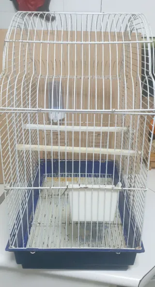 Jaula para loro
