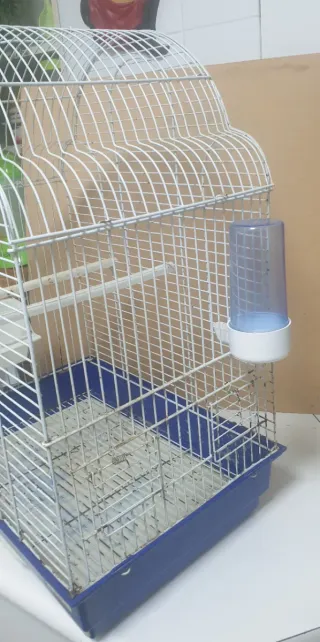 Jaula para loro