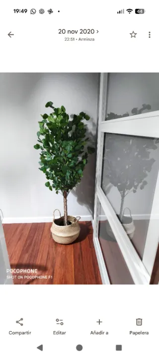 Eucalipto Artificial 150 cm