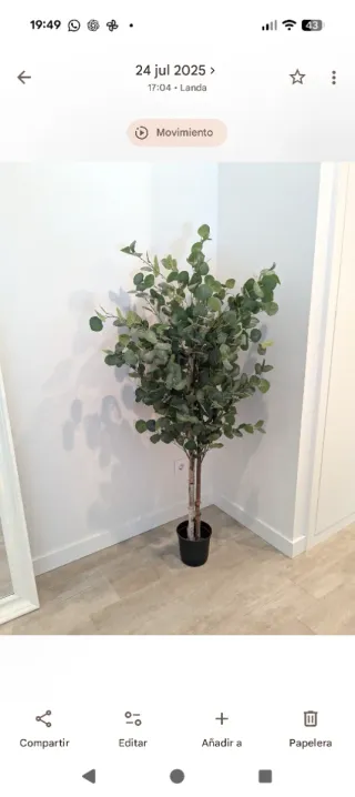 Eucalipto Artificial 150 cm