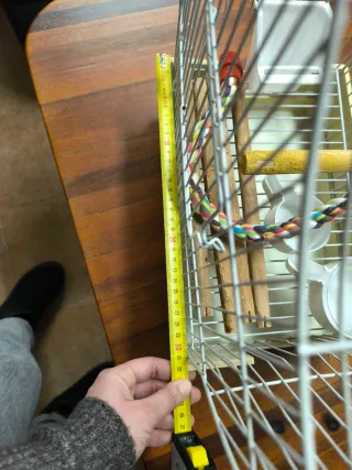 Gabbia per uccelli con accessori