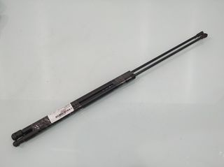 51238240596 amortiguadores capot bmw serie 554807