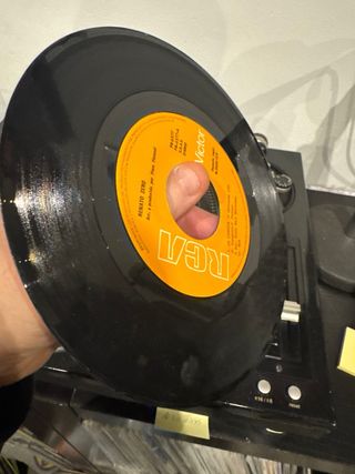 RENATO ZERO la carroza / triangulo