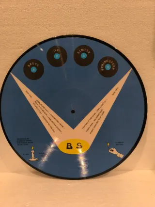 Bruce Springsteen B.O.S.S. Picture Disc (bootleg)
