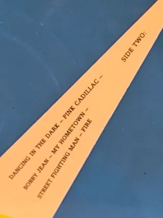 Bruce Springsteen B.O.S.S. Picture Disc (bootleg)