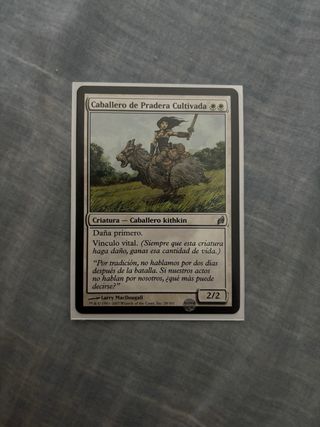 Mazo Cartas Magic The Gathering Blanco