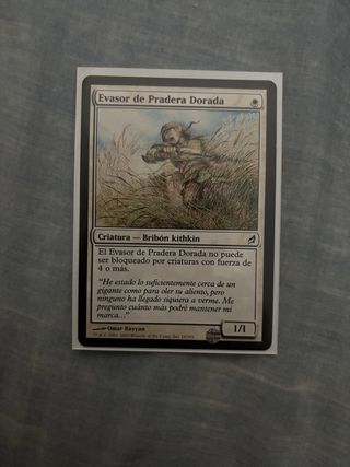 Mazo Cartas Magic The Gathering Blanco