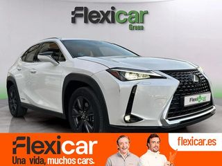 Lexus UX 2.0 250h Business