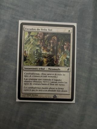 Magic The Gathering cartas