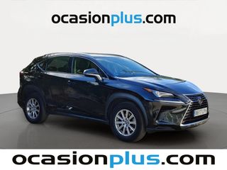 Lexus NX 300h Business 2WD 145 kW (197 CV)