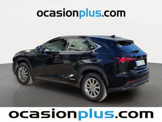 Lexus NX 300h Business 2WD 145 kW (197 CV)