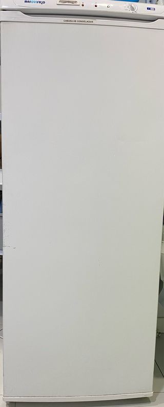 Congelatore verticale Masquefrío professionale