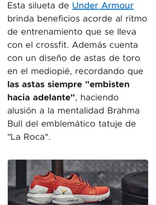 Under Armour Project Rock 2 Ed. Limitada