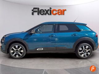 Citroën C4 Cactus PureTech 110 S&S Shine