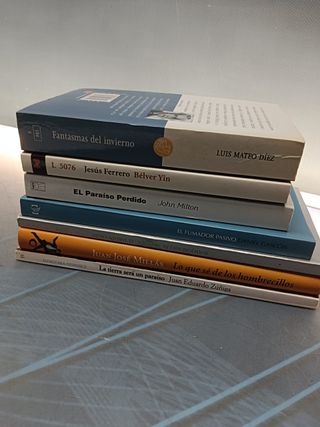 7 novelas, literatura hispanica, JUAN JOSE MILLAS, LUIS MATEO DIEZ, JESUS FERRERO y mas
